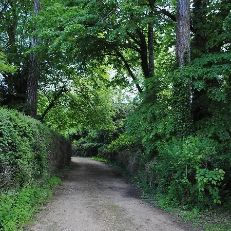 Chateau Du Theuil *