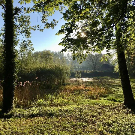 Bed & Breakfast Chateau Du Theuil