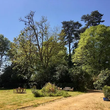 Bed & Breakfast Chateau Du Theuil