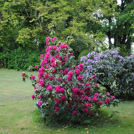 Bed & Breakfast Chateau Du Theuil *